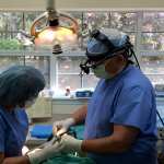 Dr. Elwell and Staff working on a patient in an examination room